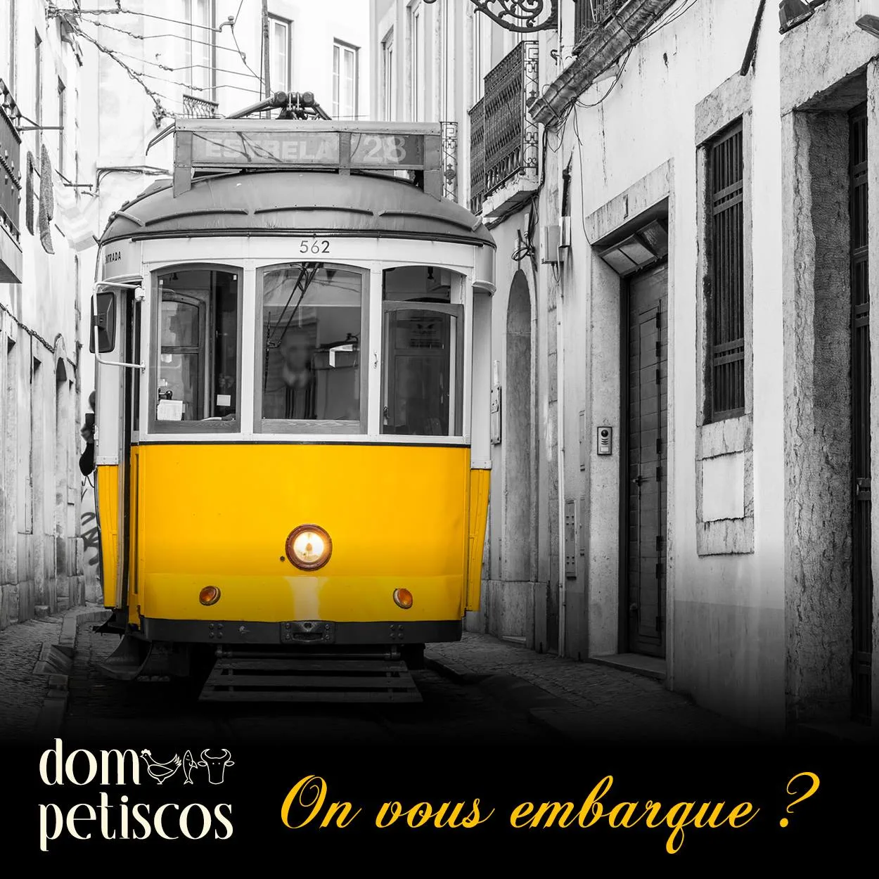 Dom Petiscos — photo 9