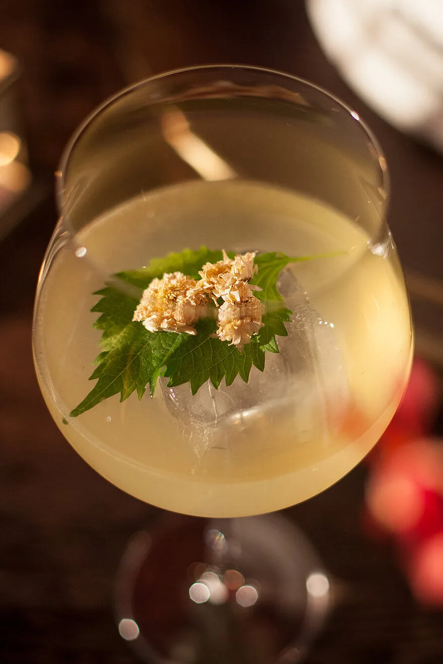 Mott 32 — photo 17