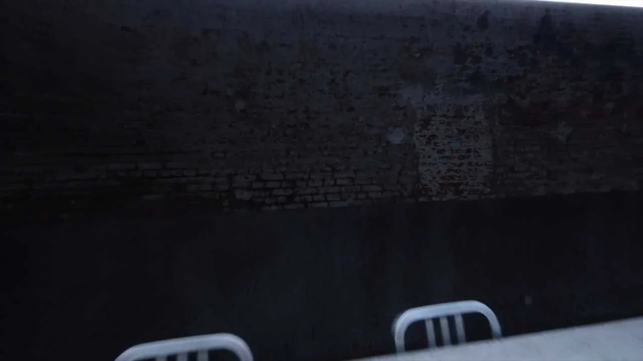 DOJO 2.0 — photo 13