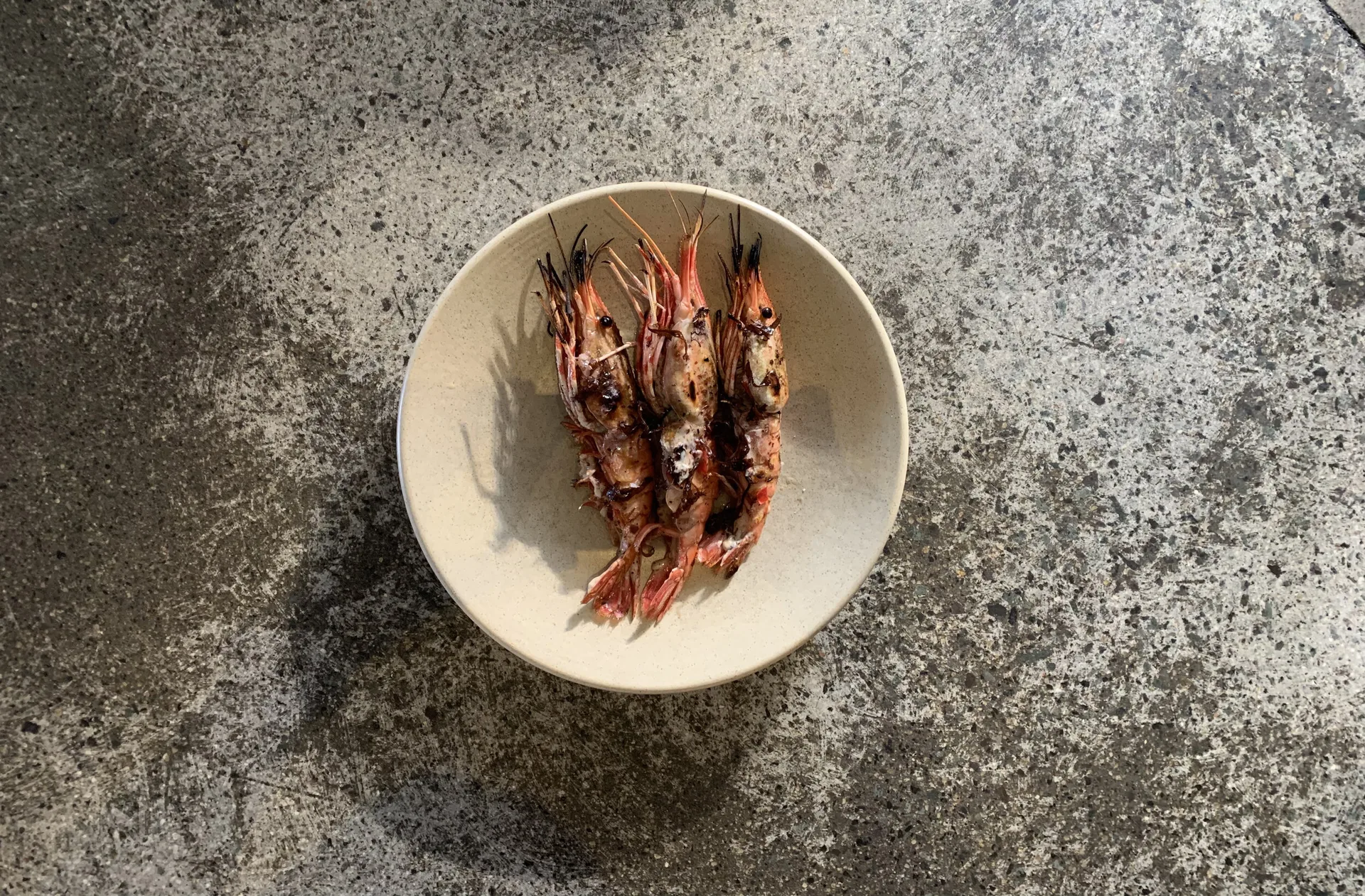 Campfire — photo 33