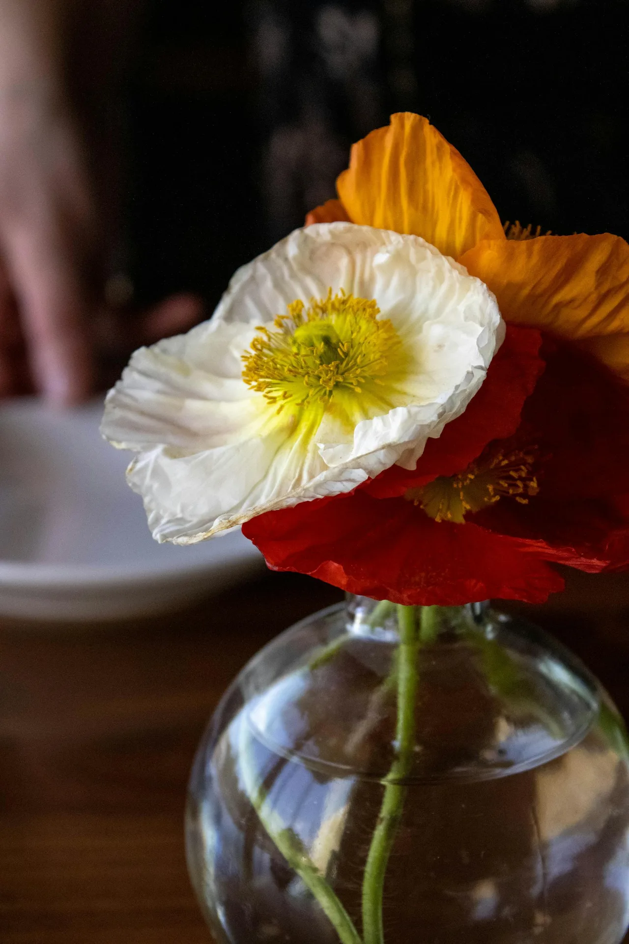 Spring — photo 20