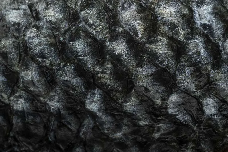 Alexandre Couillon — photo 5