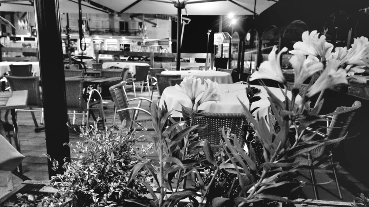 Les Ronins — photo 47