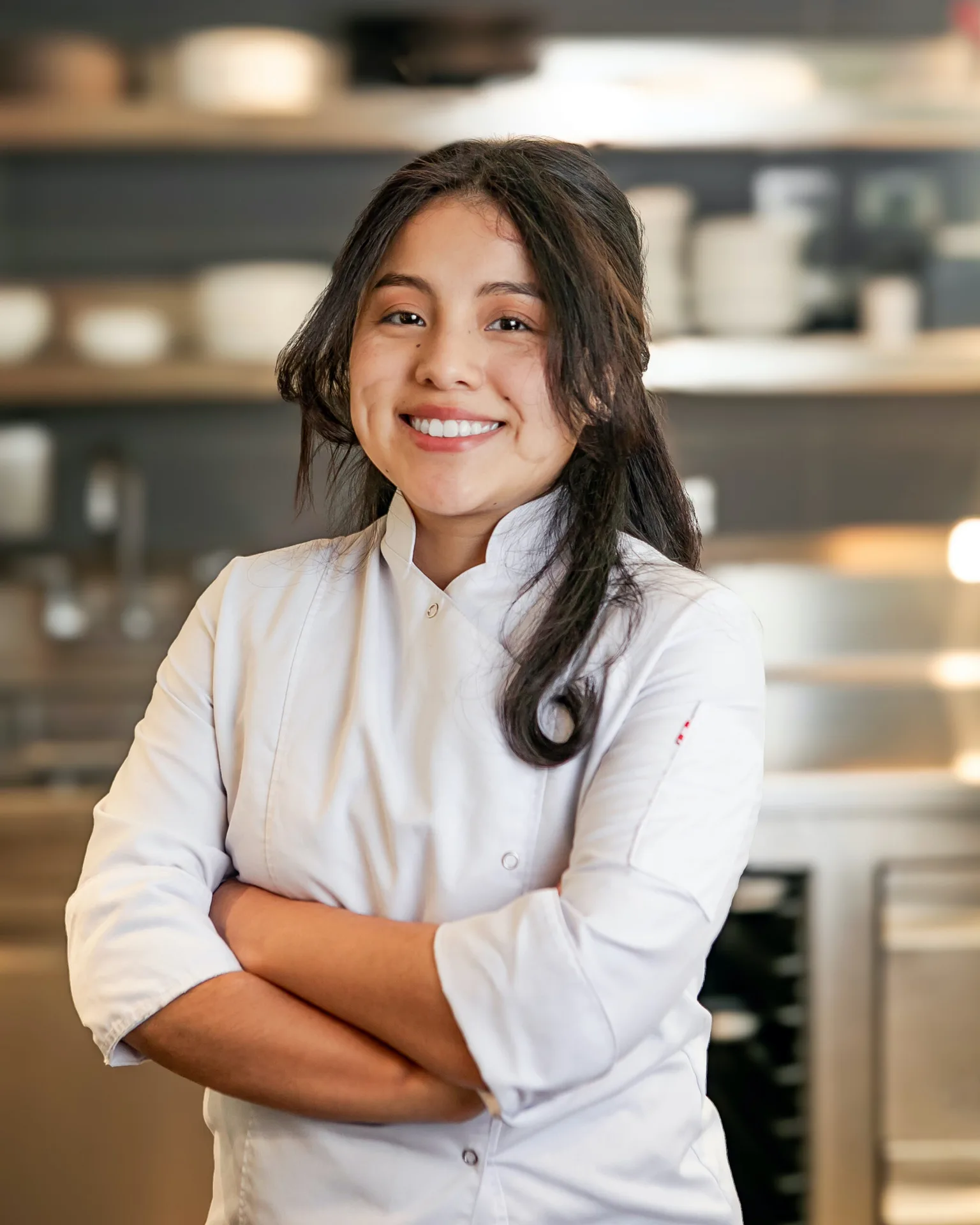 Protégé, Palo Alto