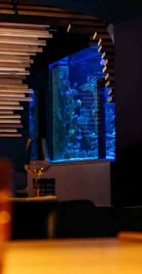 Nami Beef and Reef — photo 4