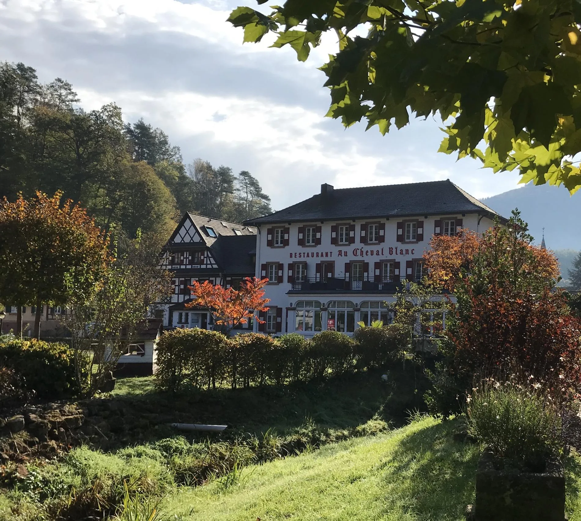 Au Cheval Blanc — photo 58