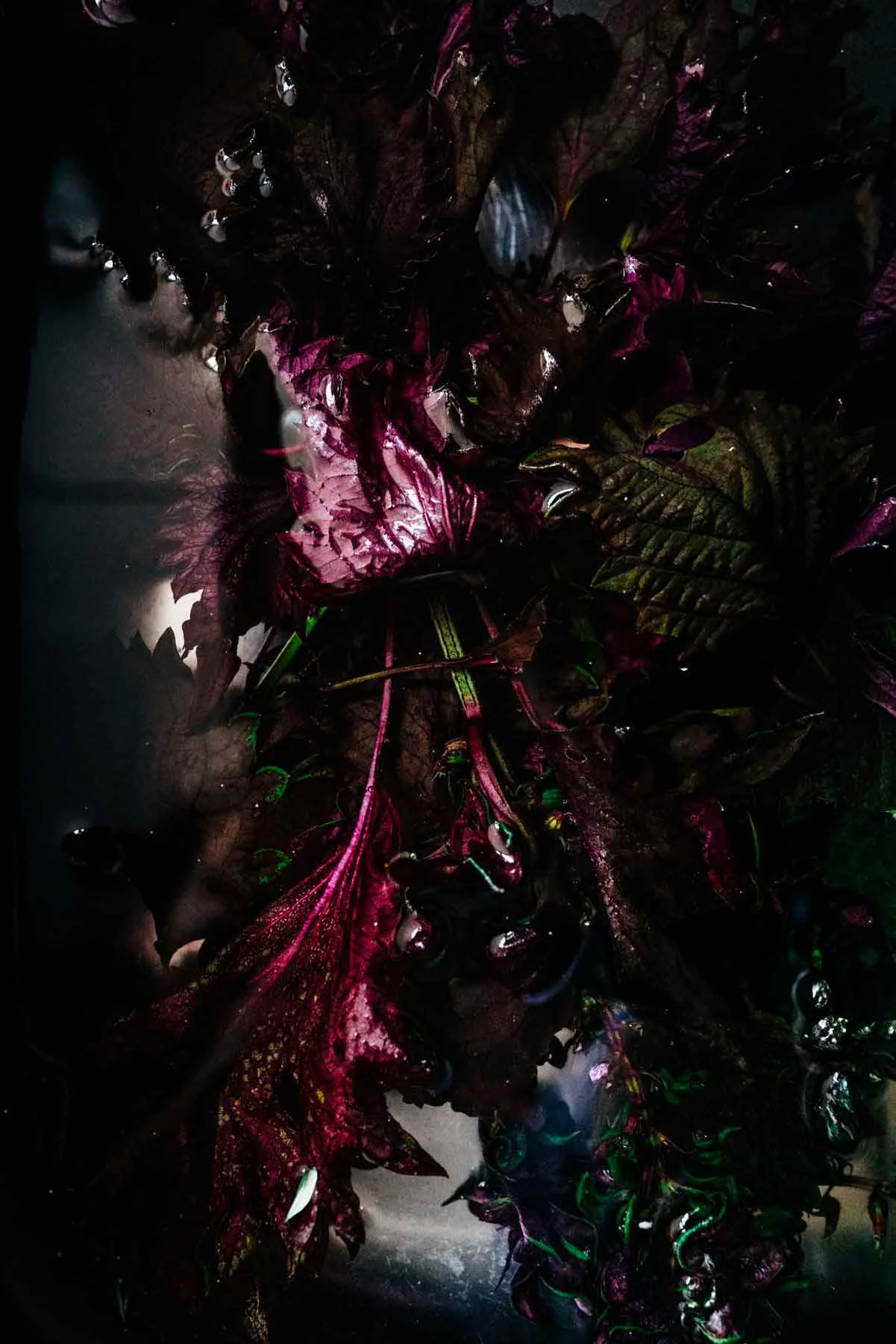 Sandikala — photo 8