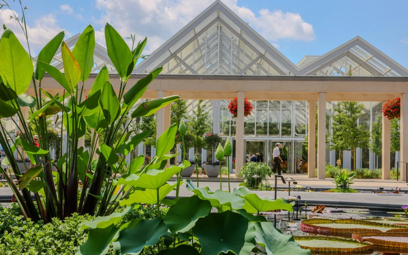 1906 at Longwood Gardens — photo 14