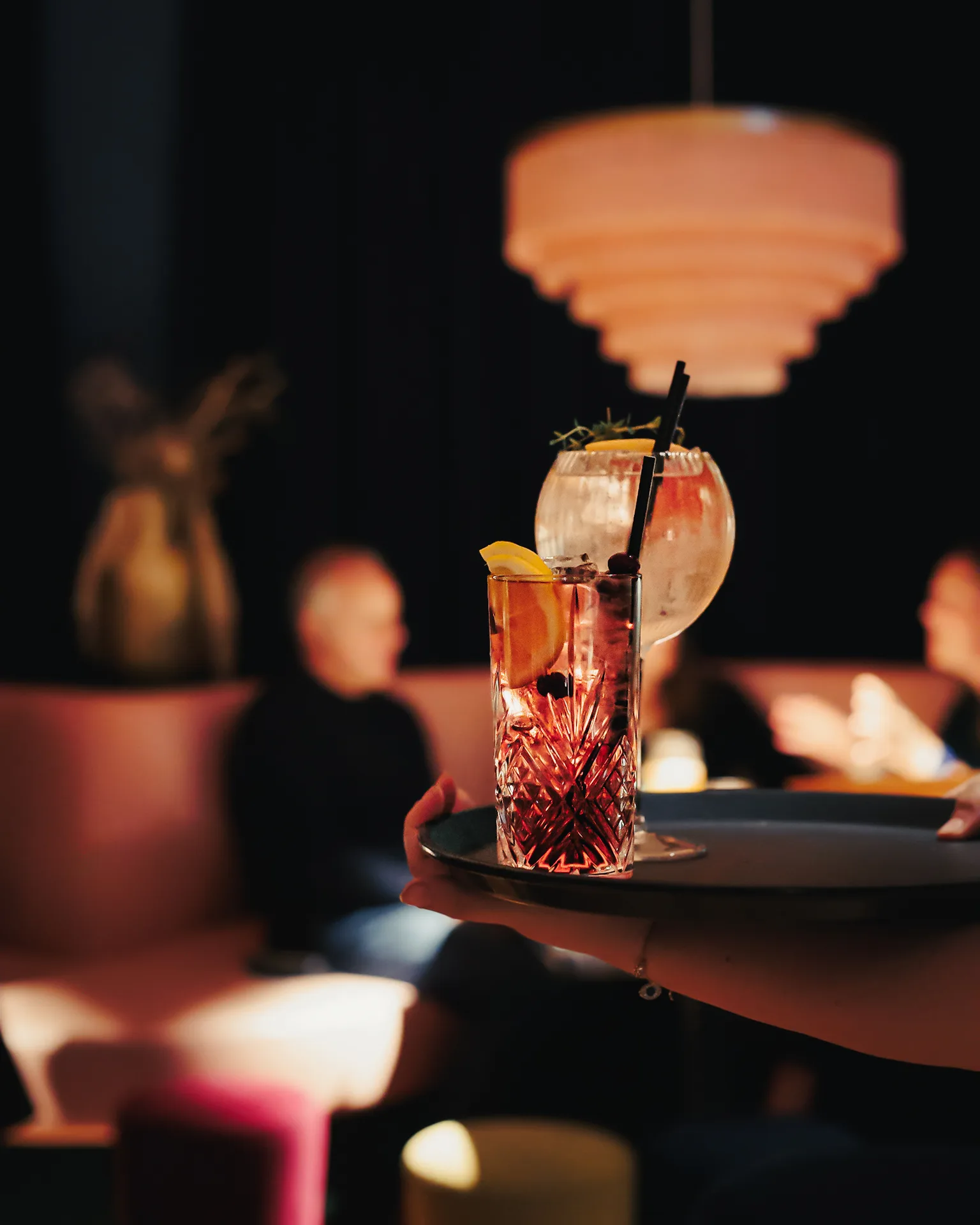 gin gin. — photo 44