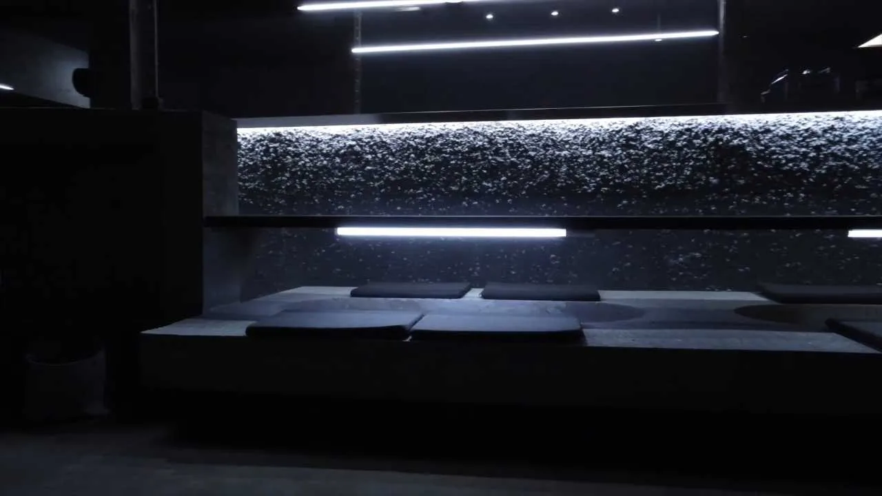 DOJO 2.0 — photo 40