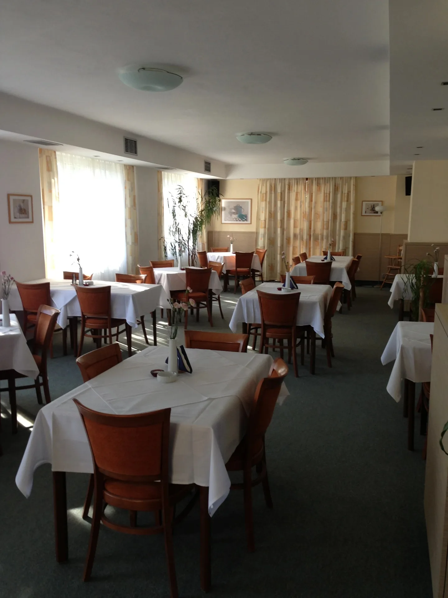 Ardesia restaurant v Hotelu Bartoš — photo 32
