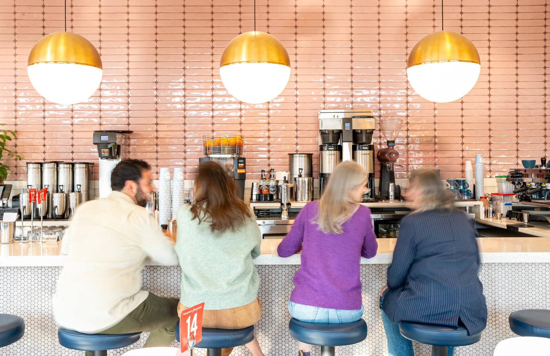 Biscuit Love — photo 89