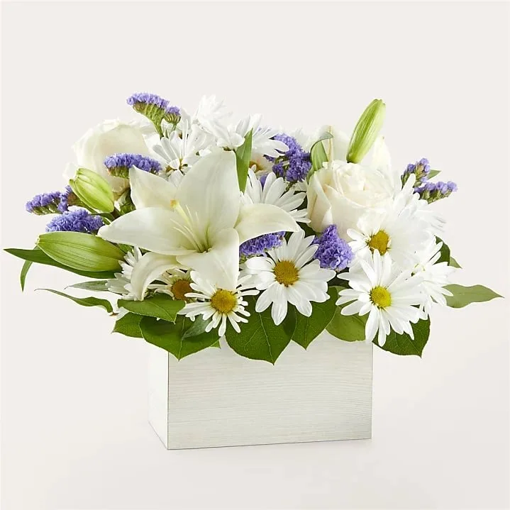 Lillies — photo 4