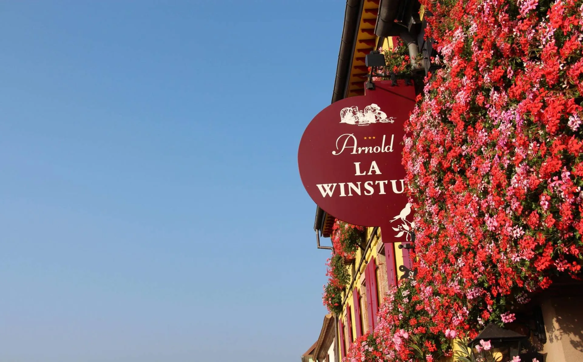 Winstub Arnold — photo 12