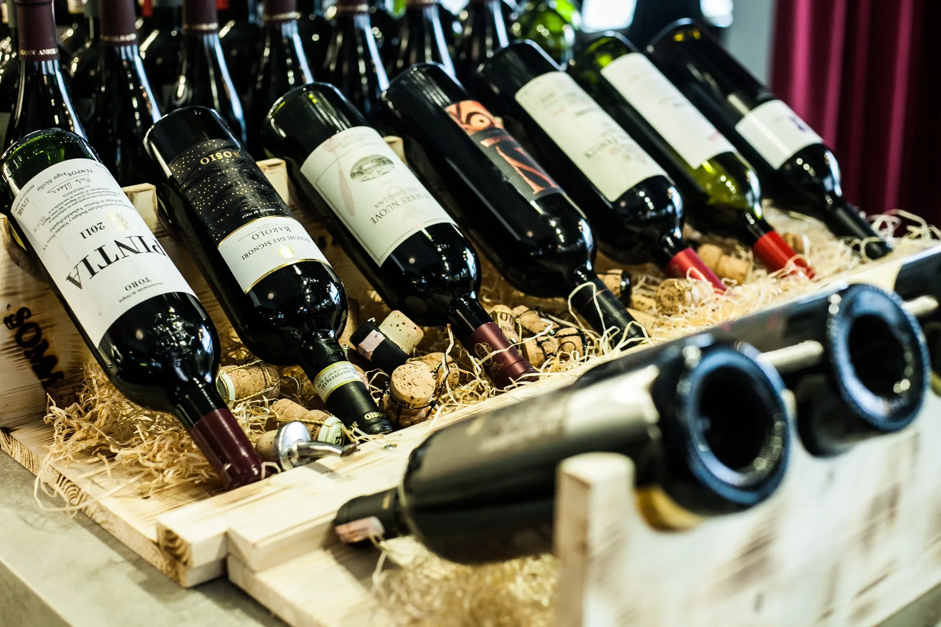 Somm — photo 9