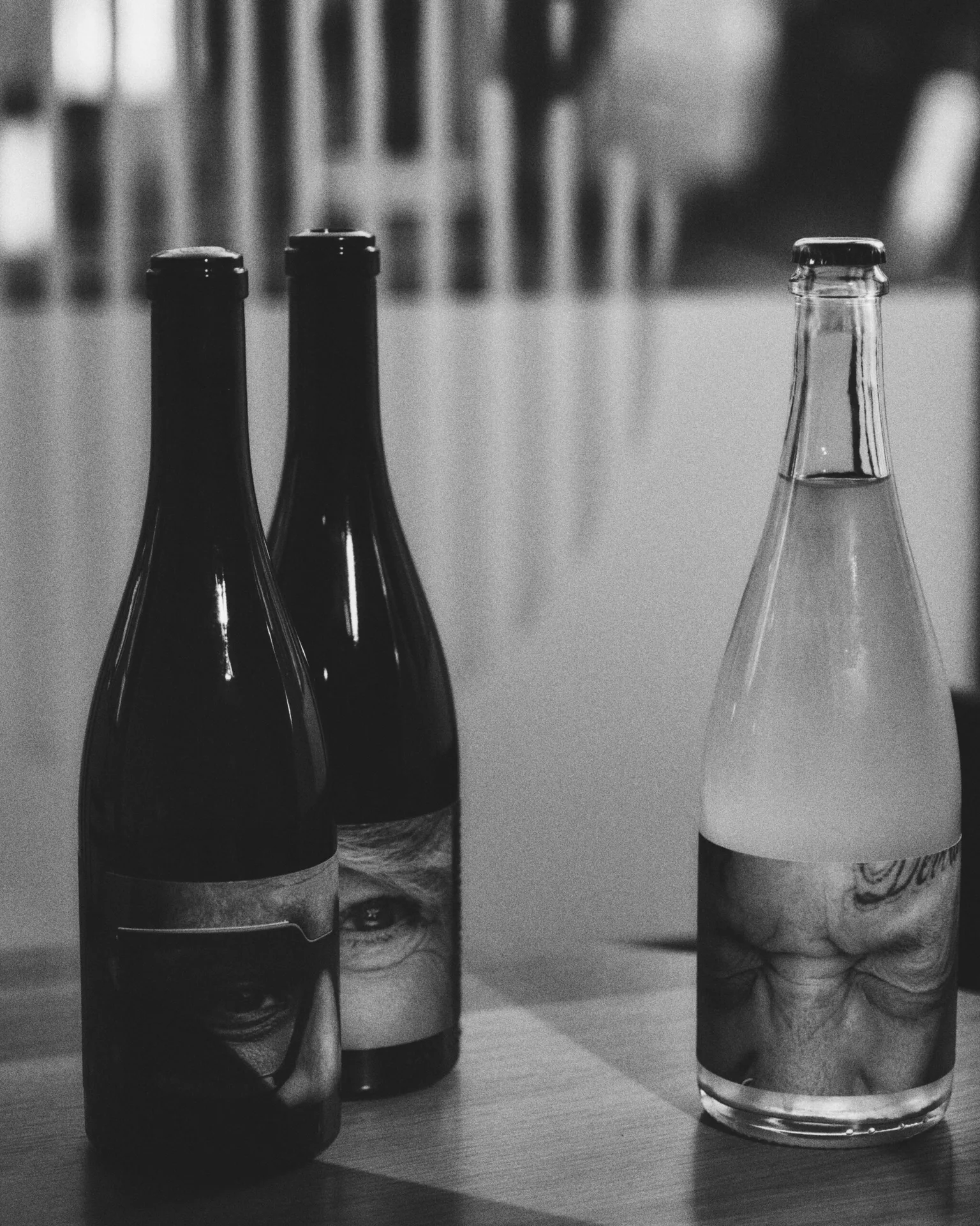 Tern — photo 61