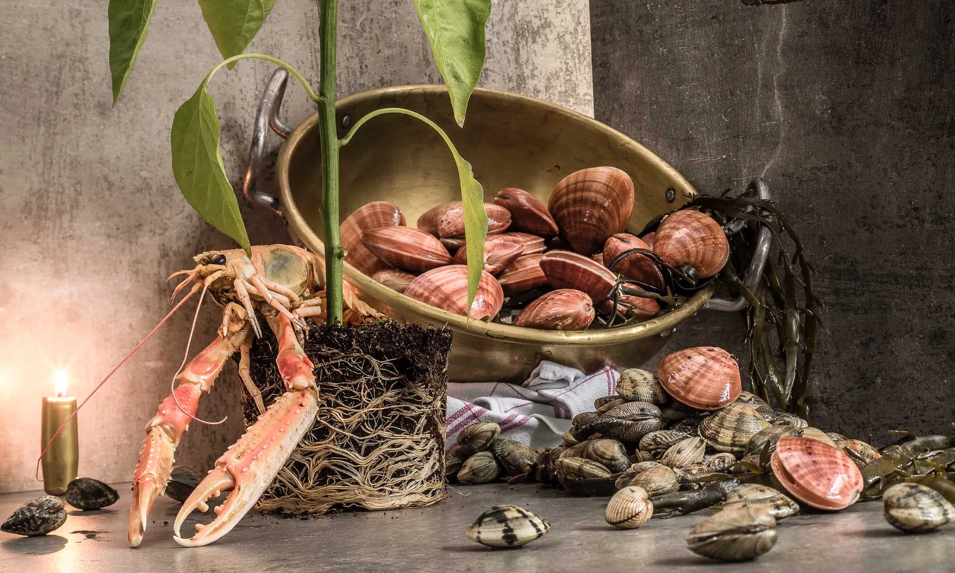 Macionga — photo 18