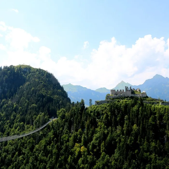 Hotel zum Mohren — photo 10