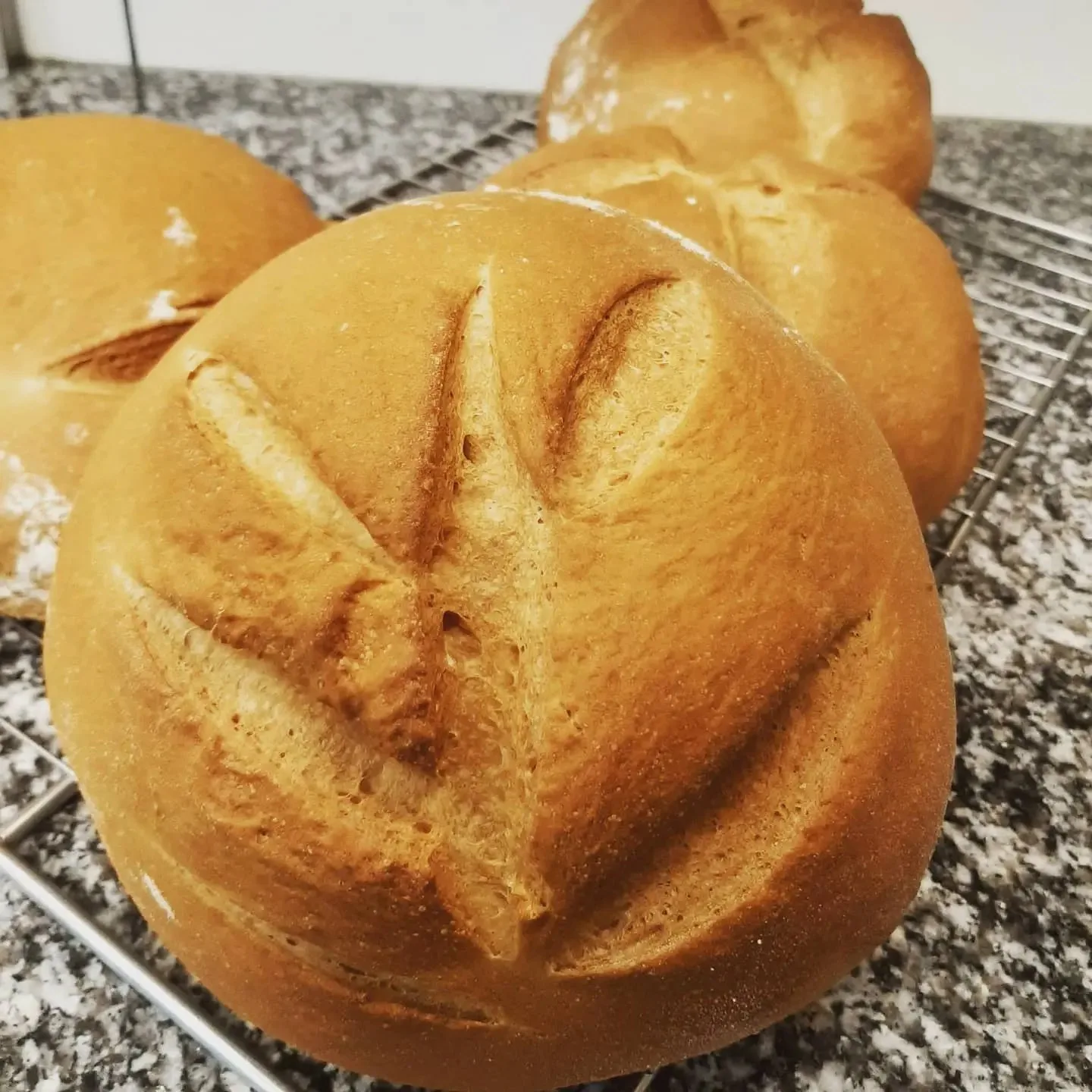 Baguettes et Fourchette — photo 24