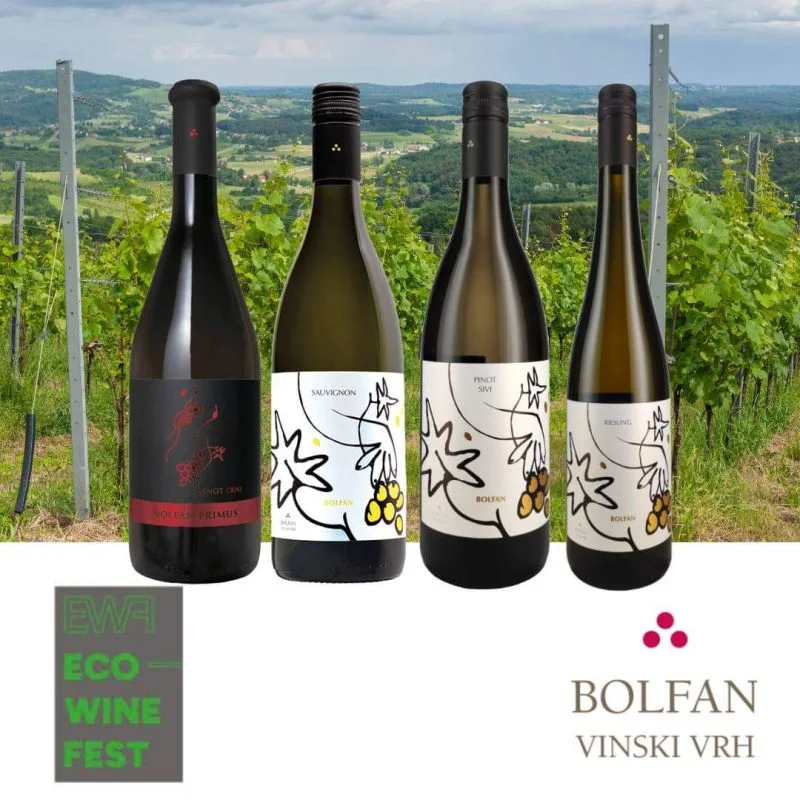 Bolfan Vinski Vrh — photo 25