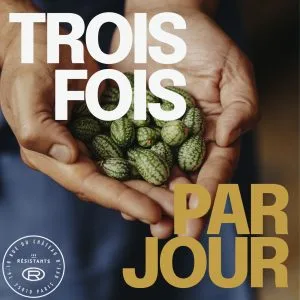 Les Résistants, Paris