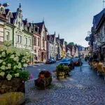 Gasthaus zum Pflug — photo 4