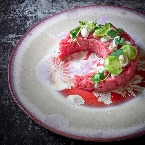 Biestro H-eat — photo 21