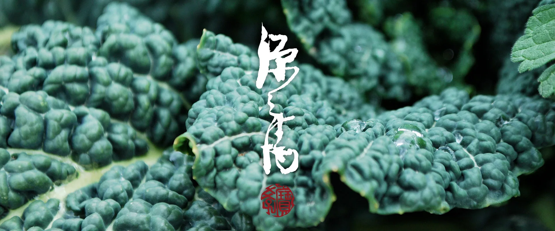 Gojo GENBEI — photo 15
