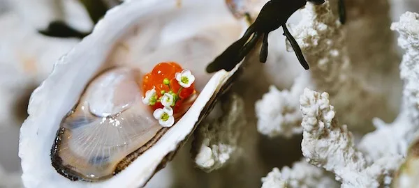 Catch at St. Regis — food
