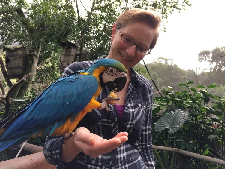 Blue Cockatoo — photo 14