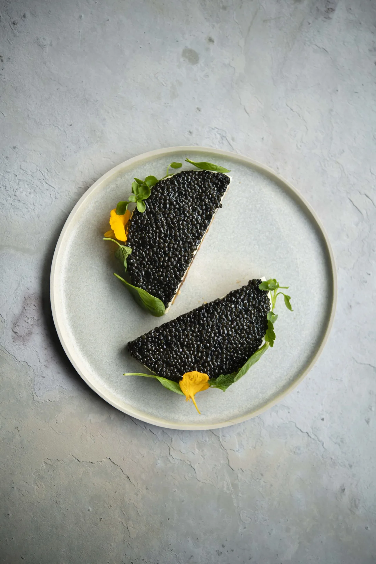 Petrossian — photo 7