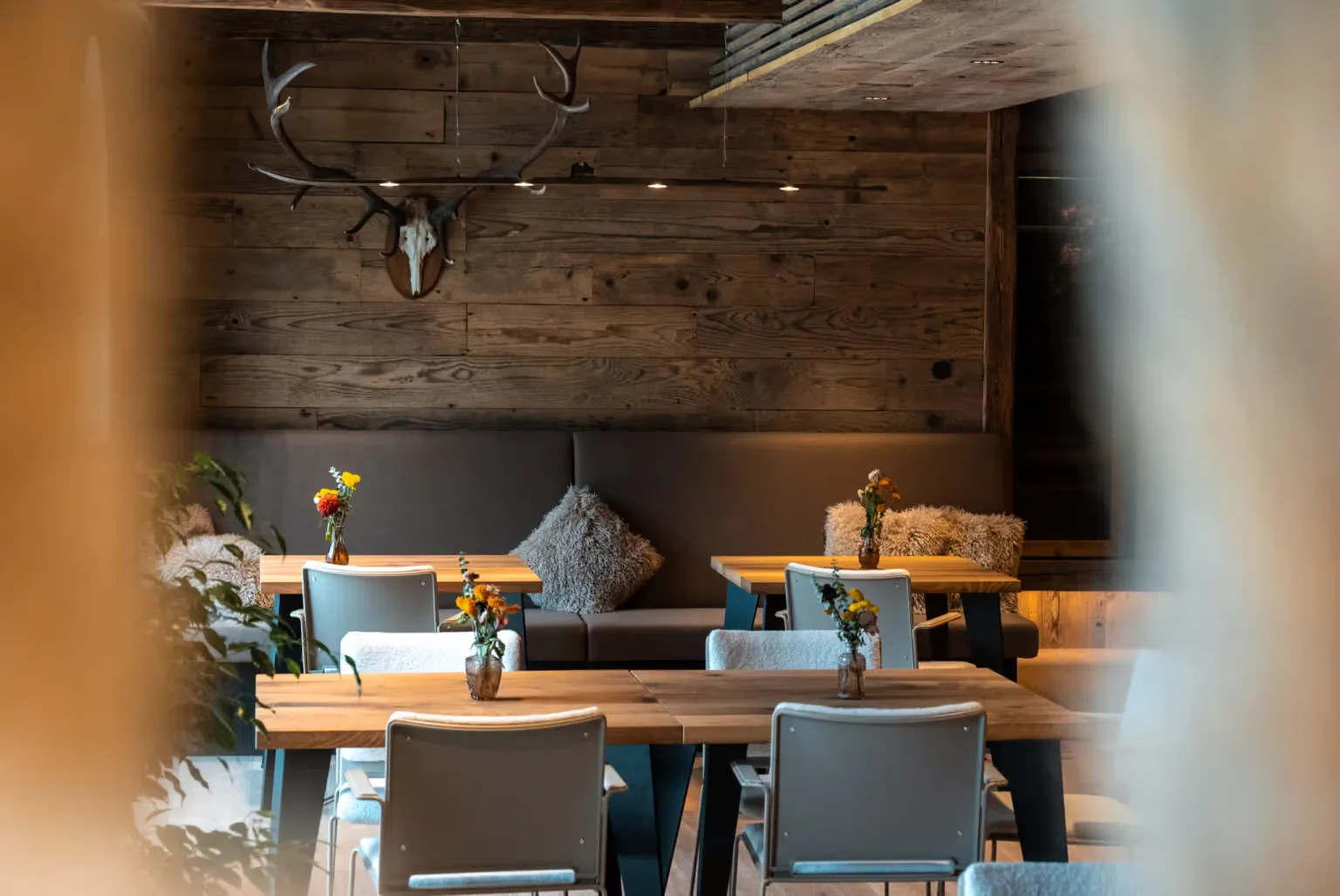 Vila Muhr Gourmet — photo 83