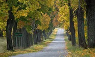 Oberża Pod Psem — photo 25