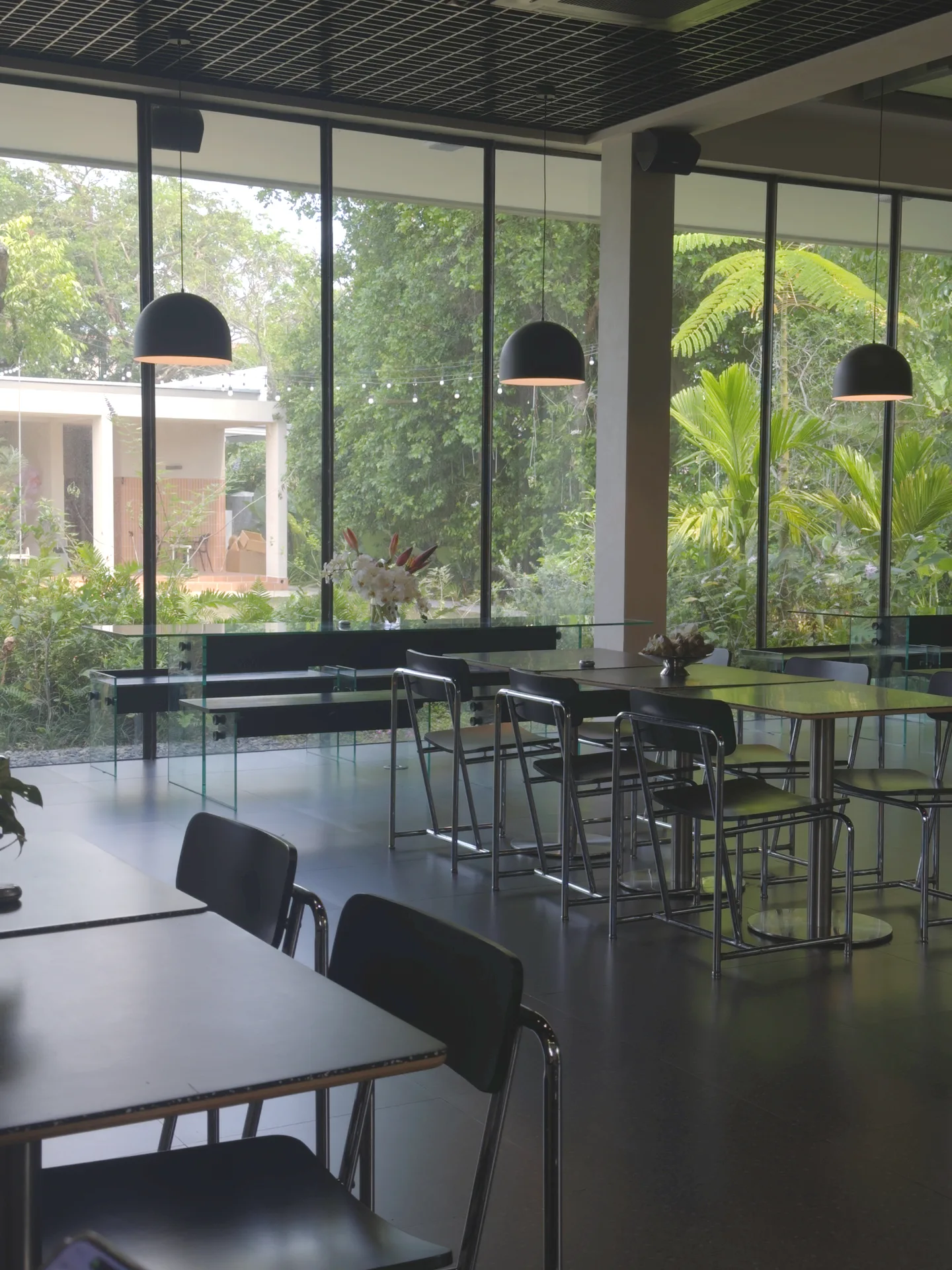 Phed Phed Bistro — photo 12