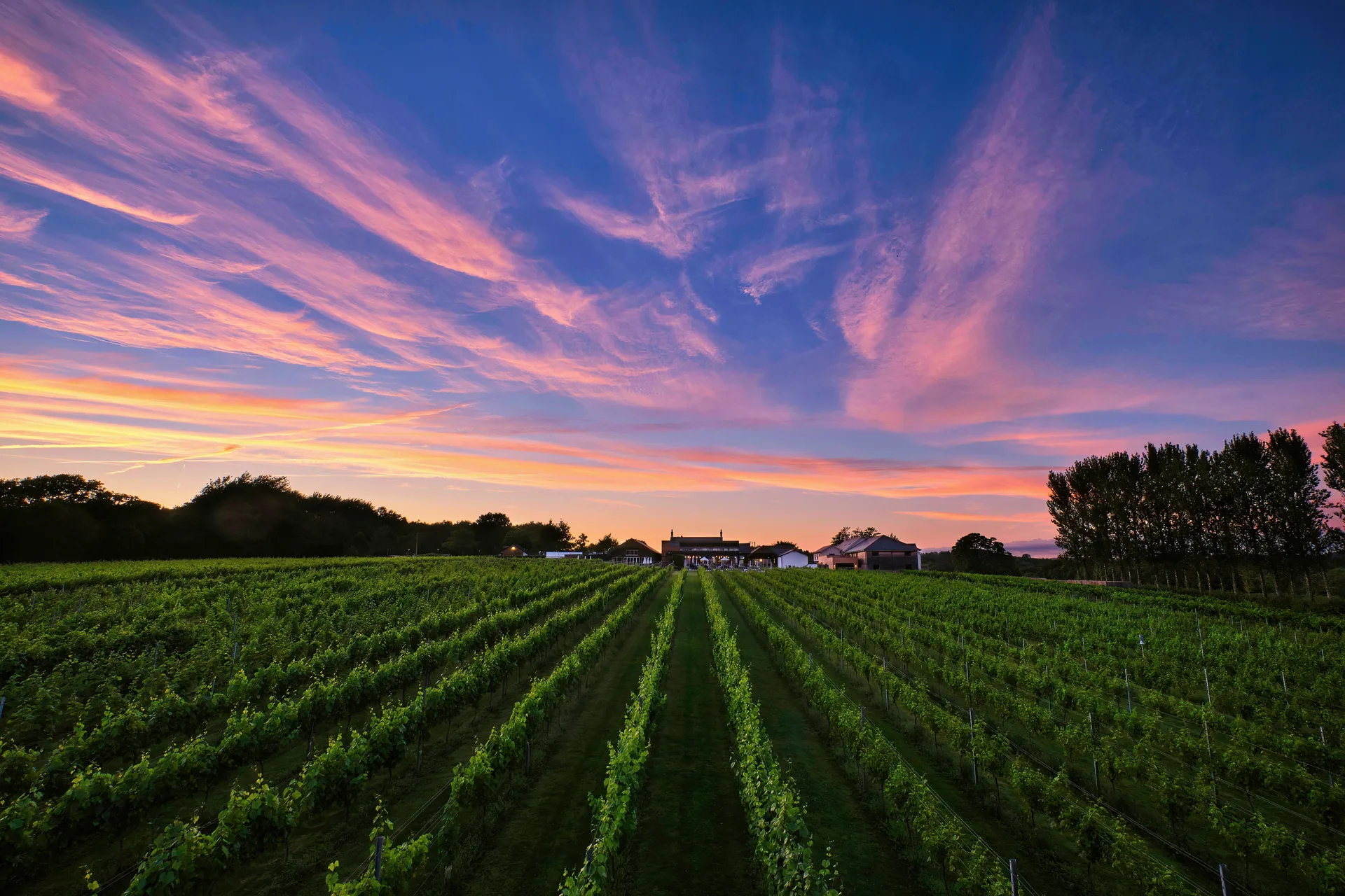 Llanerch Vineyard Hotel & Restaurant — photo 89