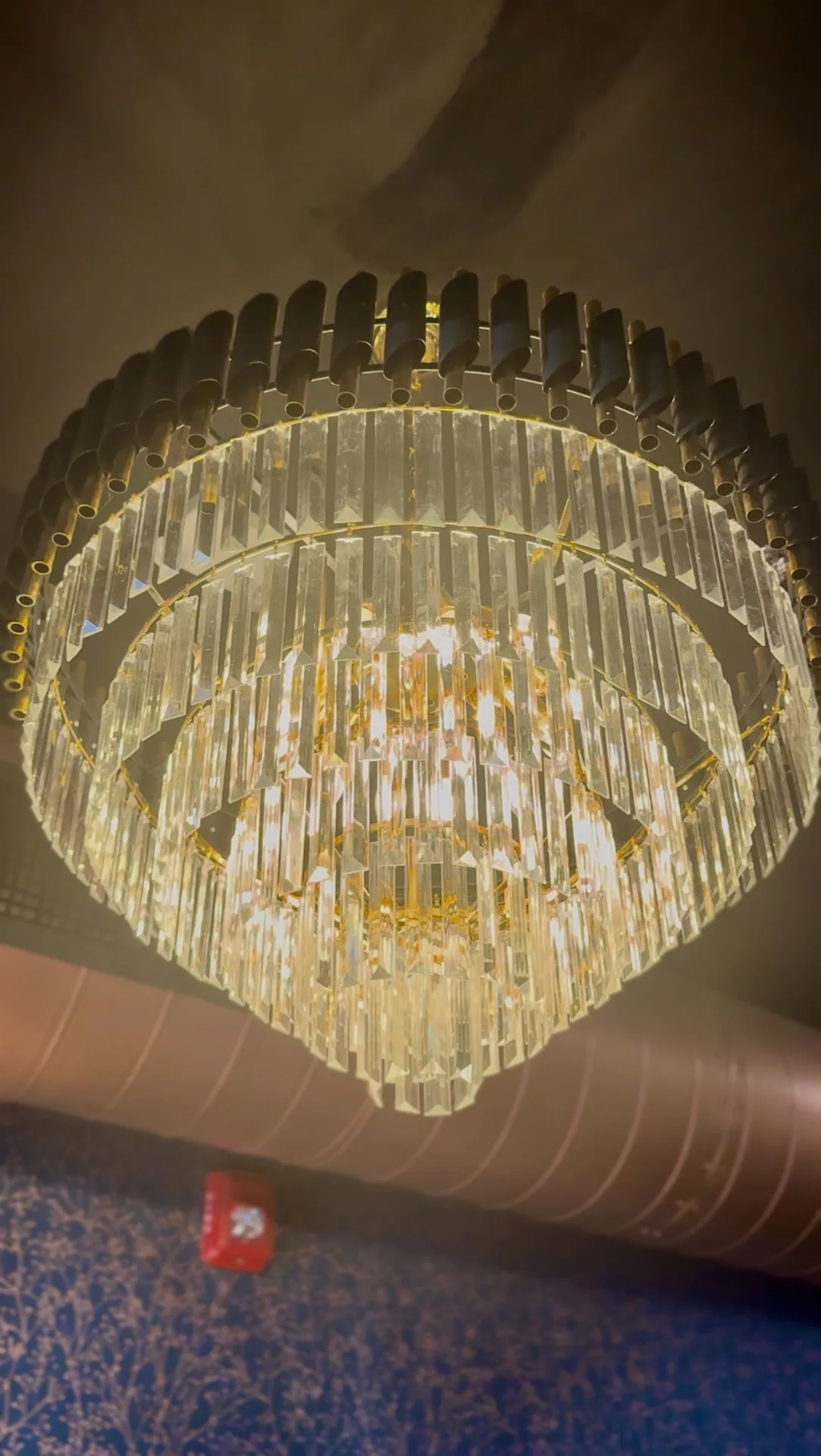 Evolution Bistro & Bar — photo 19