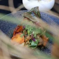 Anicia, table nature — food