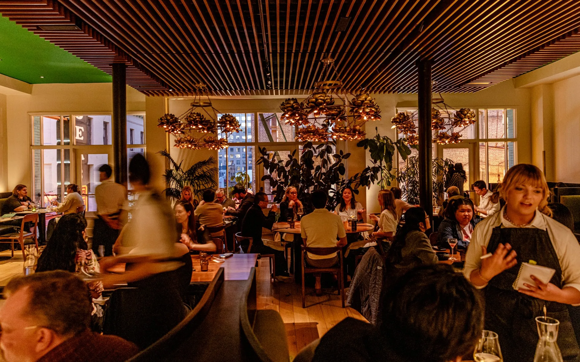Mister Jiu's — photo 16