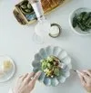 Animo by Aigner — food