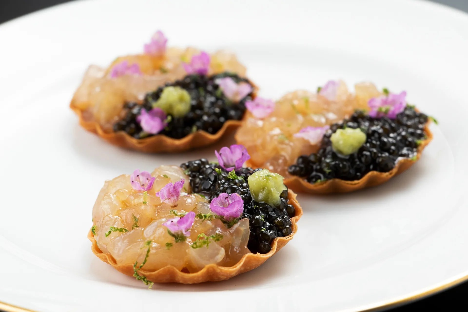 Luciole, Matsuyama