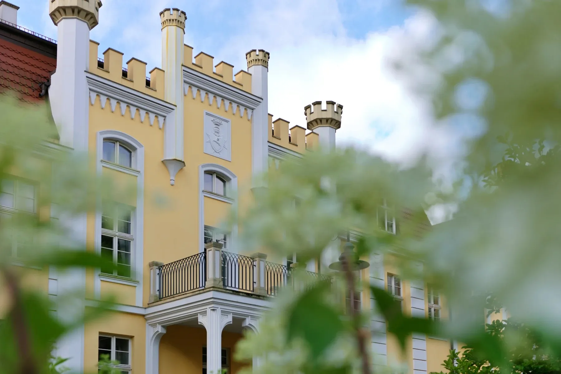 Biały Królik — photo 13