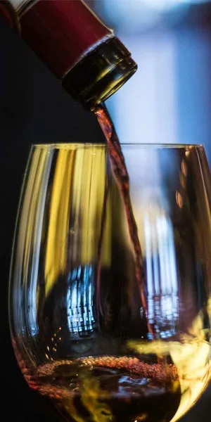 Chianti Il Ristorante — photo 15