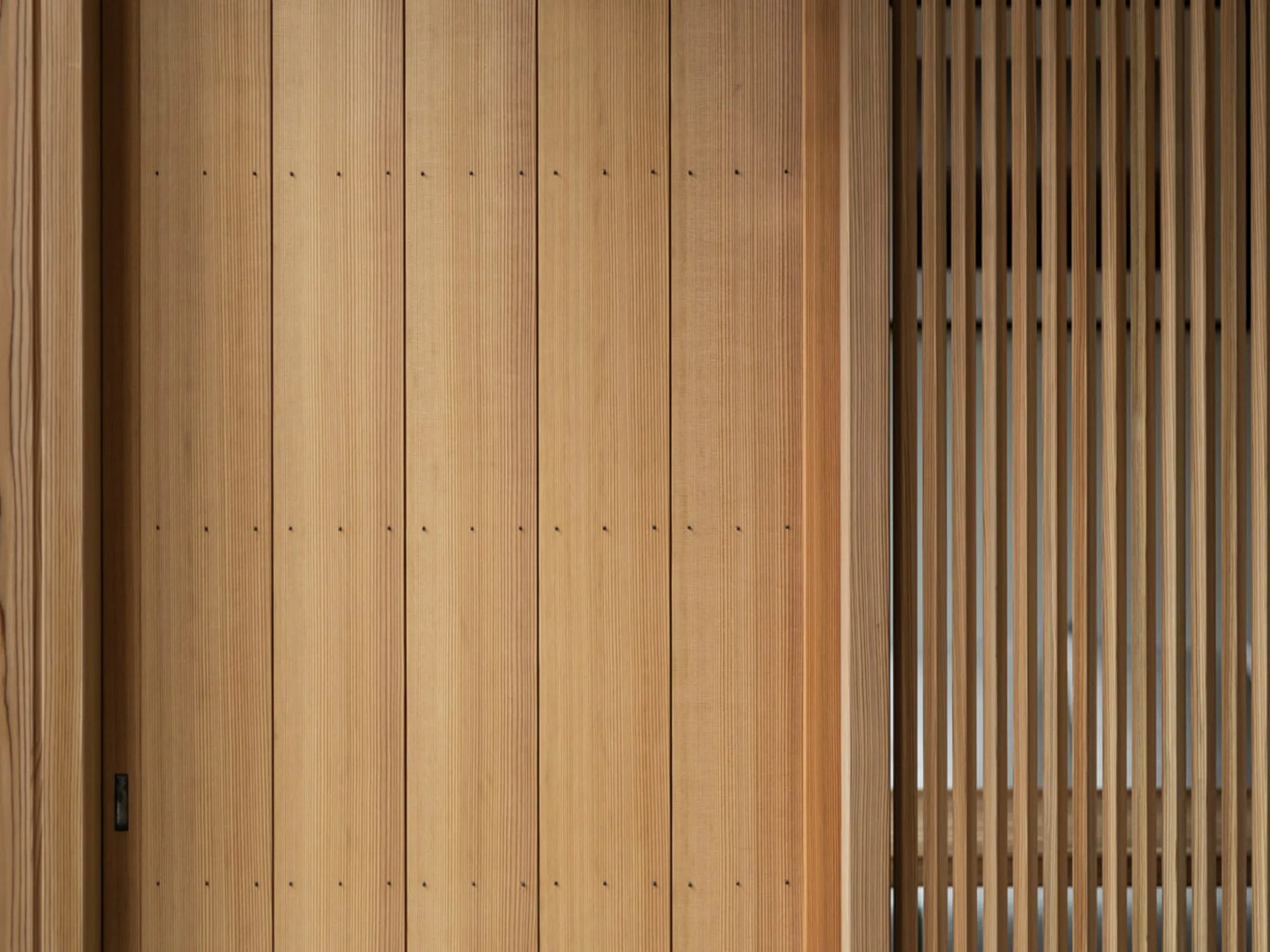 Kanda — photo 16