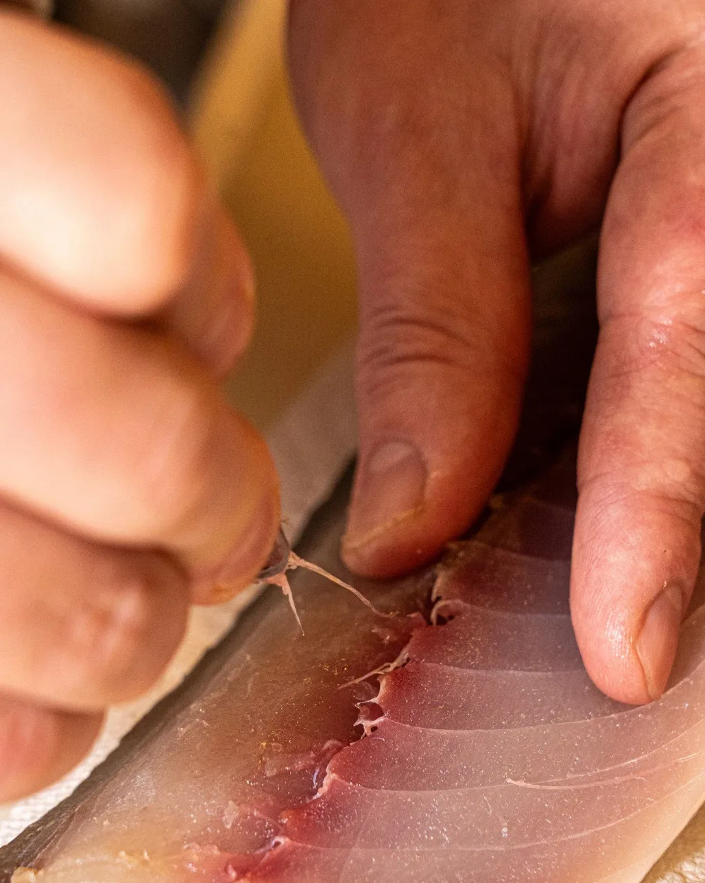 Shota Omakase — photo 11