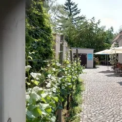 Restaurant Gaumenkitzel — photo 31