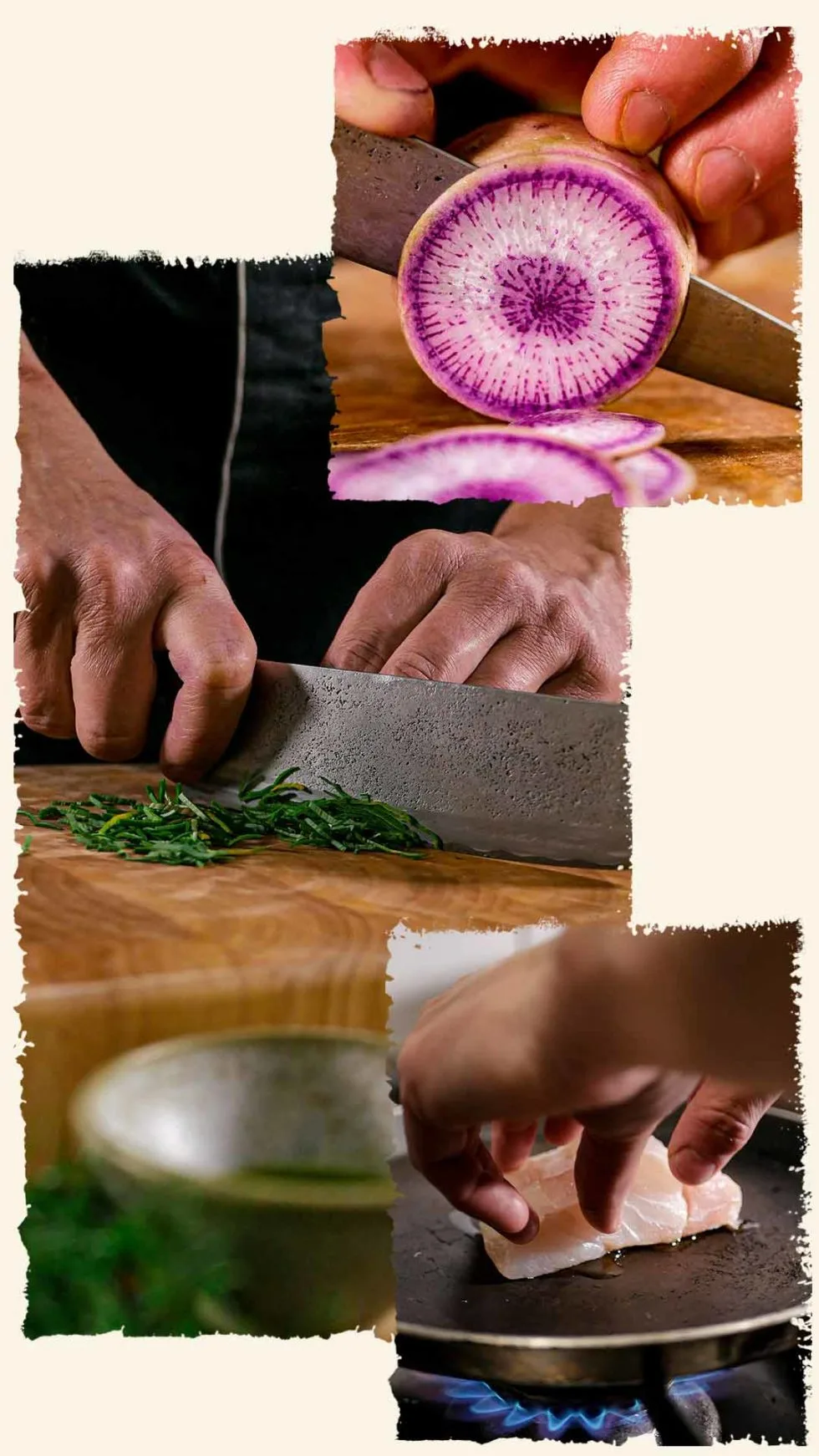 Fezi — kitchen
