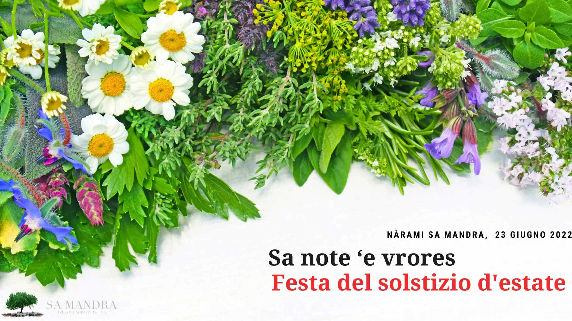 Sa Mandra — photo 68