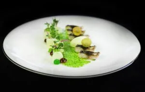 Bagatelle — photo 18