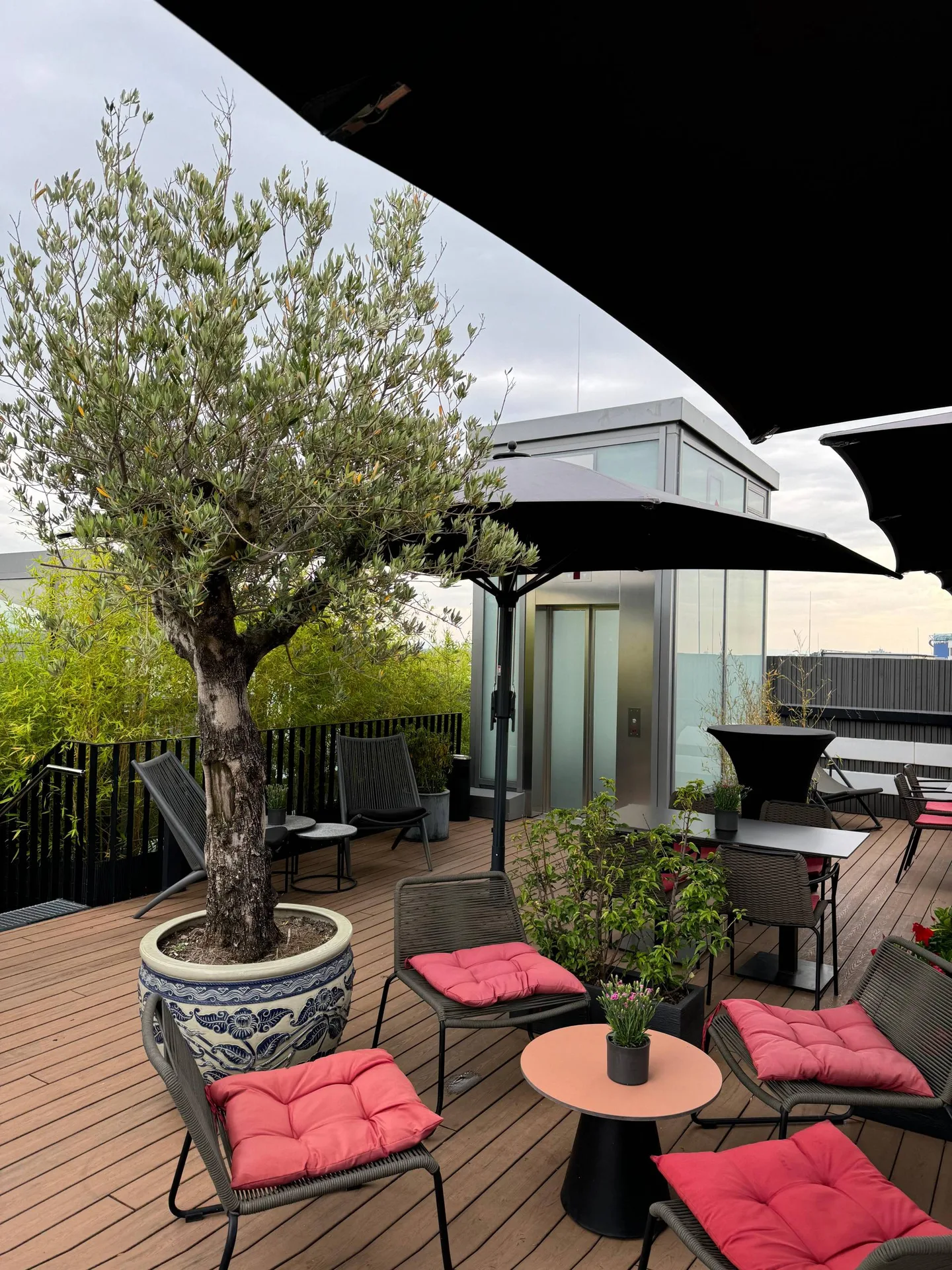 Qube Restaurant Bergheim — photo 14