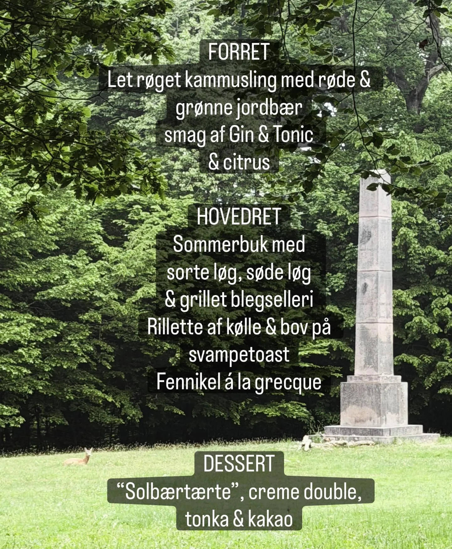 Christianshøjkroen — photo 12